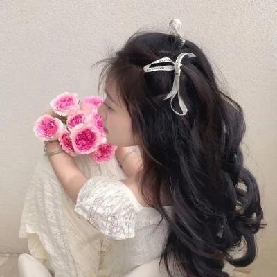 猫头鹰之森